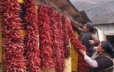 2022春节挂红辣椒什么意思