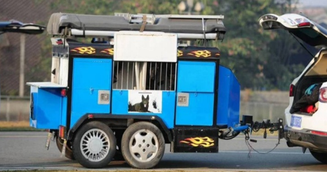 c6驾驶证什么时候开始执行