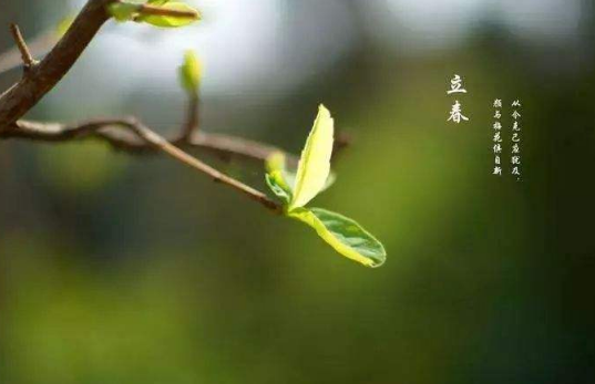 躲春是一天都不出门吗