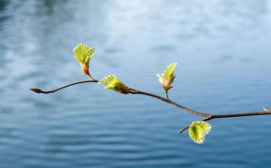 躲春是一天都不能见个别生肖的人吗