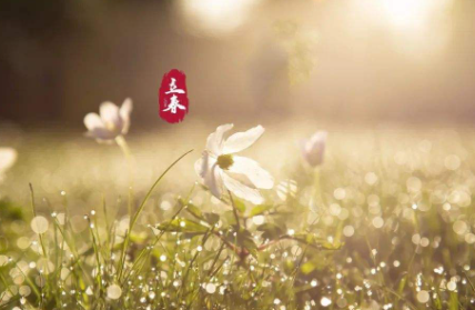 2023年立春是早春还是晚春 