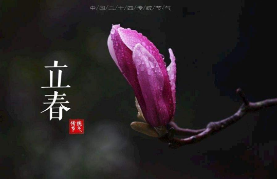 躲春可以打扫卫生吗