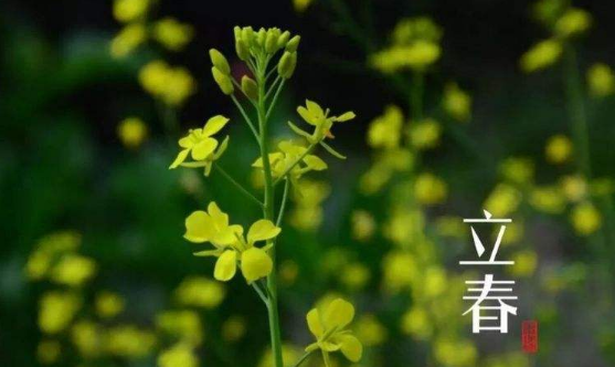 躲春同一个属相还要分开吗