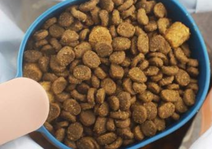 猫粮粗脂肪含量多少合适