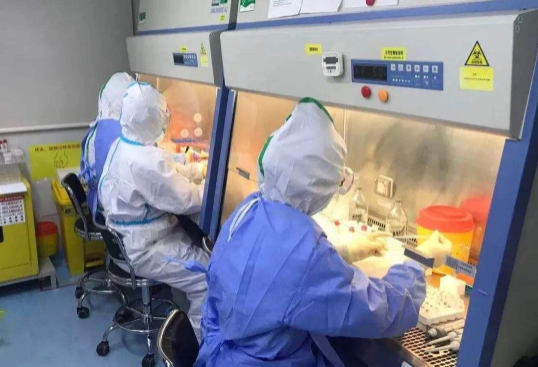 核酸检测48小时是指哪48小时