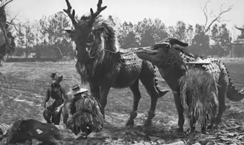 世界上最后一只麒麟长什么样