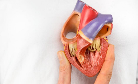 心率180持续多久致死