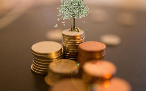 我想学理财从哪里开始