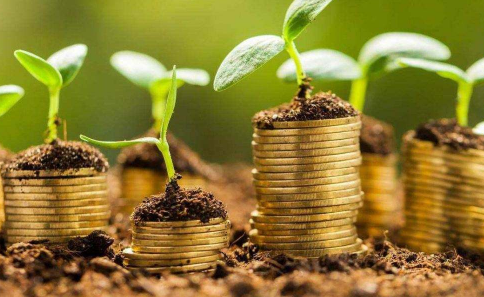 理财星期天为什么没收益