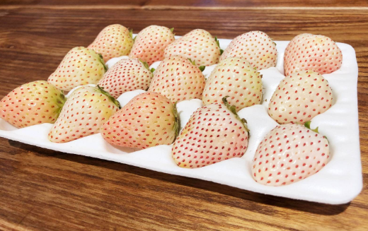 白色草莓是什么口味的