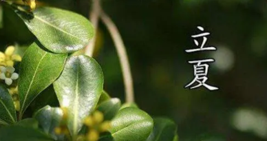 2022年立夏过后多久才会热