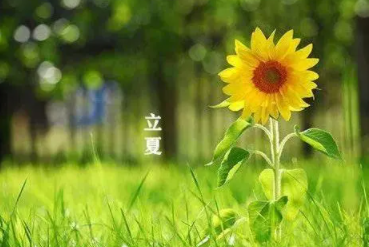 2022年立夏具体时间是几月几号几点几分