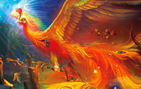 世界上最后一只凤凰长什么样子