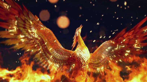 世界上最后一只凤凰长什么样子