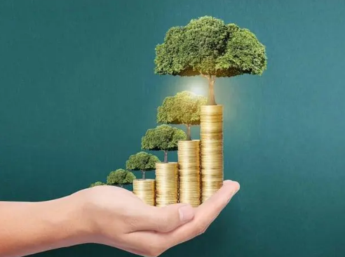 摇钱树直接插栽花盆里能活吗