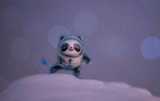 冰墩墩是什么和什么的结合