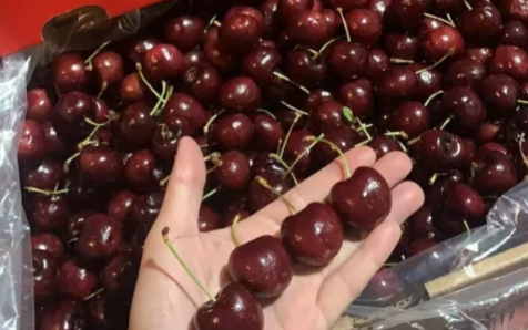 年后车厘子没有年前好吃吗