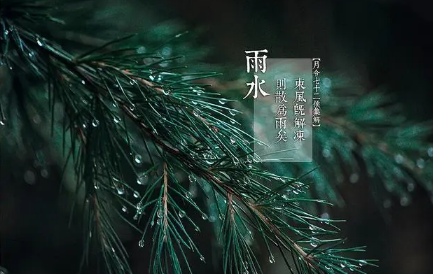 2022年雨水前一天是绝日吗