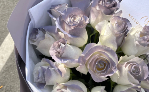 卡普里灰紫玫瑰是真花吗