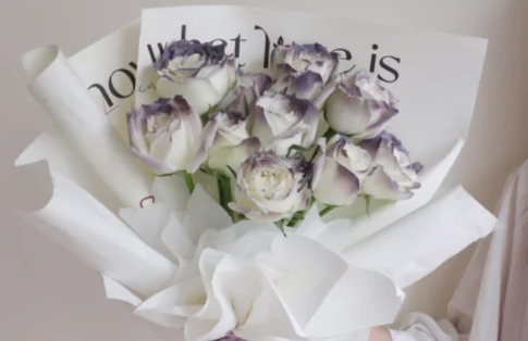 卡普里灰紫玫瑰是真花吗