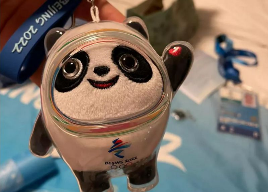 冰墩墩几几年有的