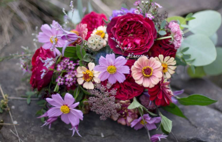 插鲜花的水几天换一次