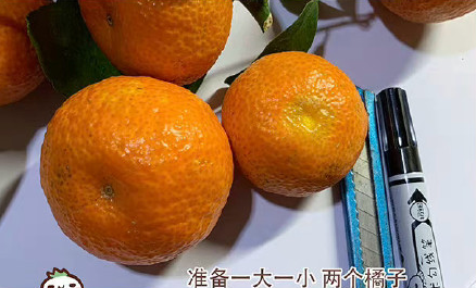 冰墩墩用橘子皮怎么做