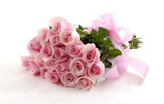 2022玫瑰花为什么这么贵