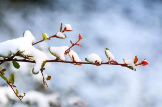 2022倒春寒什么时候开始什么结束