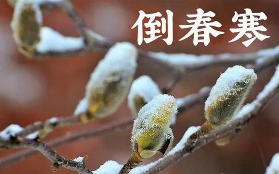 2022年倒春寒严重吗