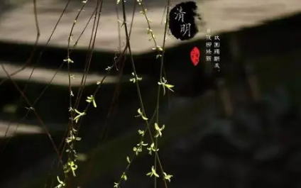 2022年清明节上坟属虎的能去不
