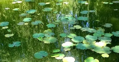 2022夏至前后是一年中最热的吗