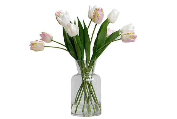 水培郁金香发霉了怎么办