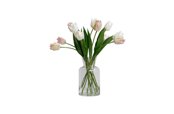 水培郁金香需要消毒吗