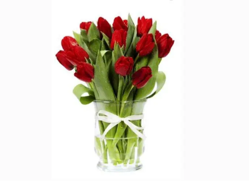 水培郁金香需要消毒吗