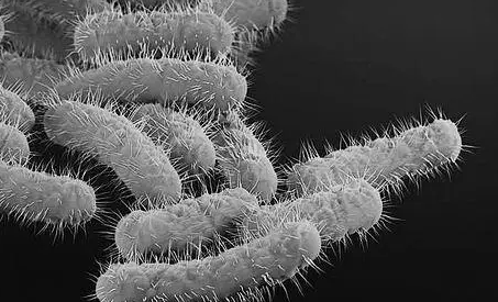 hiv待确诊是不是基本就是了