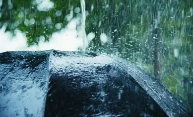 2022年长沙清明期间依旧是雨纷纷吗