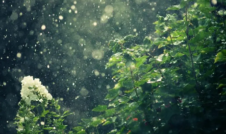 2022年长沙清明期间依旧是雨纷纷吗