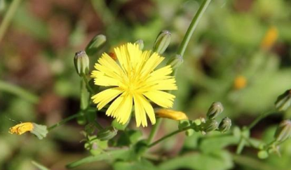 2022春社能扫旧坟吗