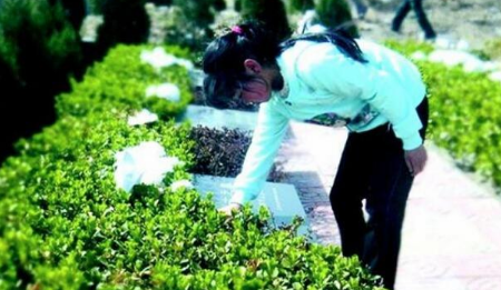 2022春社能扫旧坟吗