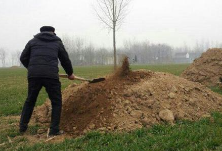 清明添坟用什么土最好2022