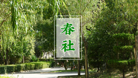 2022新坟拦社日是春分后一天吗