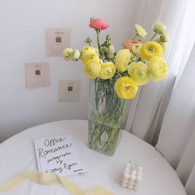 醒花去掉了叶片怎么办