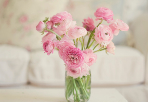 醒花对温度有没有要求