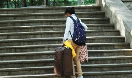 2022单招容易过吗