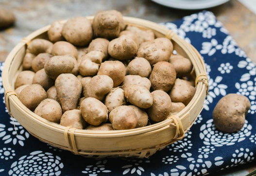 山药豆和山药哪个更有营养