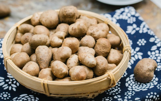 山药豆和山药哪个好