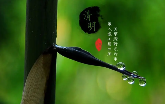 2022清明节是农历几月初几