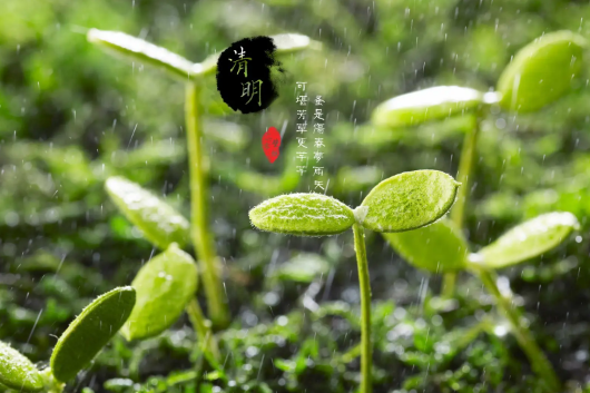 2022清明节是农历几月初几