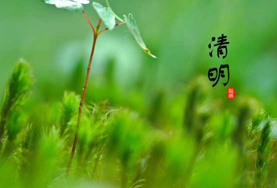 2022清明节是农历几月初几